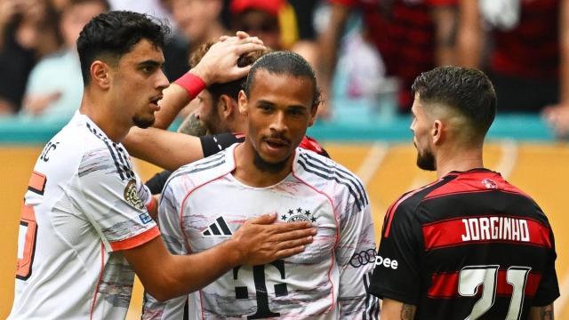 1751251856059006744.jpeg sane.jpeg